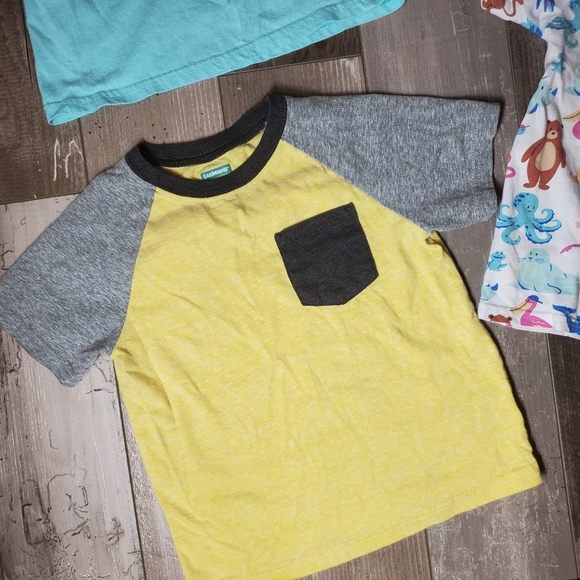 Alex & Jack and Garanimals Size 4T Boys Short Sleeve Casual T-Shirt Bundle GUC - Picture 13 of 15